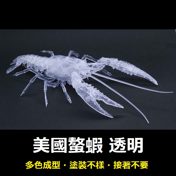 美國螯蝦 透明 FUJIMI 自由研究24EX3 生物編 富士美 組裝模型 FUJIMI,自由研究,生物,美國螯蝦,紅色,透明,