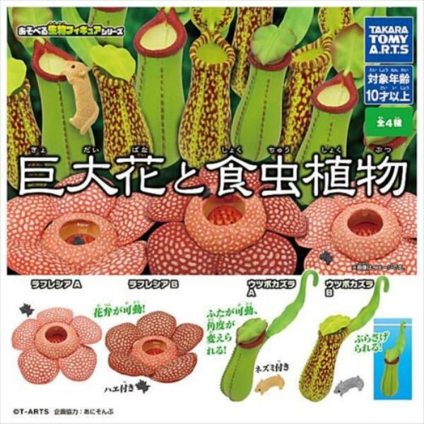 T-ARTS 扭蛋 巨大花與食蟲植物 全4種 隨機4入販售 T-ARTS,扭蛋,巨大花與食蟲植物,全4種 隨機4入販售,
