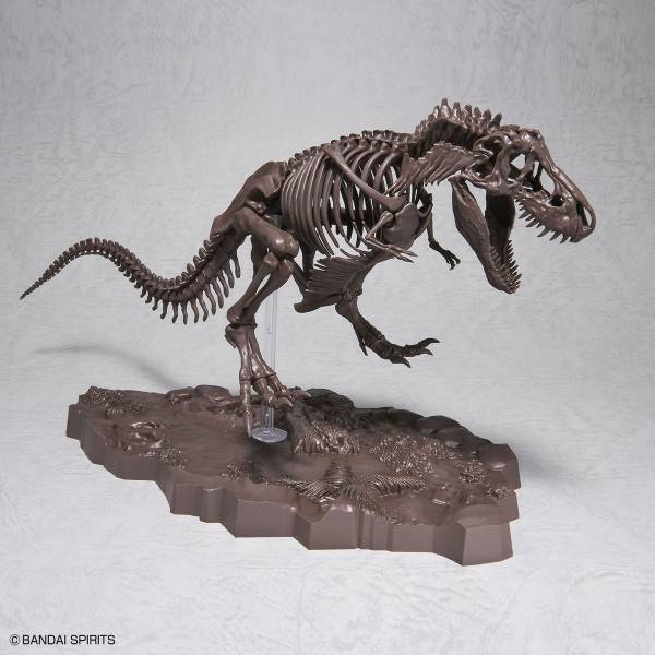 BANDAI 1/32 幻想骨骼系列 暴龍 恐龍骨骼 組裝模型 BANDAI,1/32,幻想骨骼系列,暴龍,組裝模型,恐龍骨骼