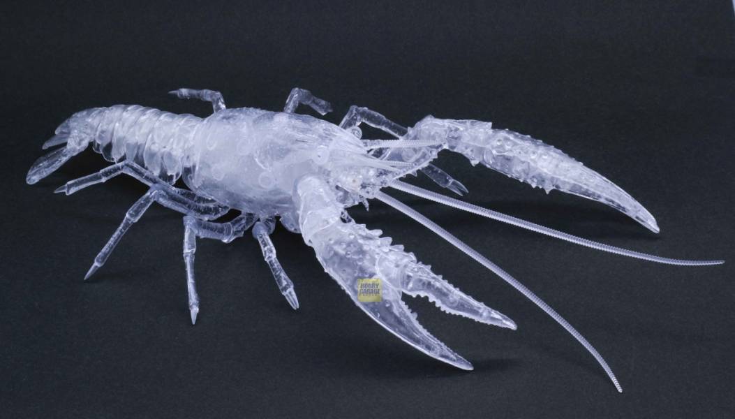 美國螯蝦 透明 FUJIMI 自由研究24EX3 生物編 富士美 組裝模型 FUJIMI,自由研究,生物,美國螯蝦,紅色,透明,