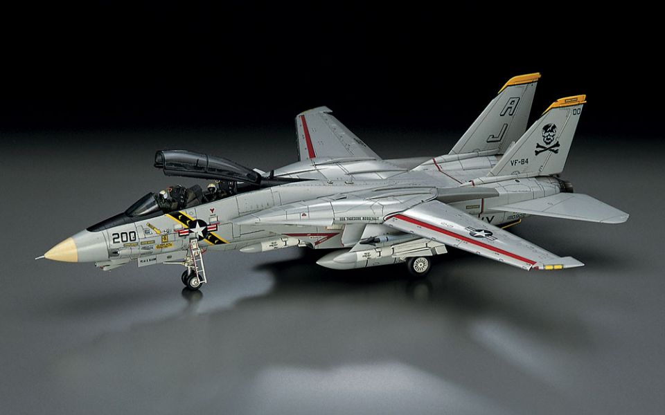 HASEGAWA 1/72 美國海軍 F-14A 雄貓式戰鬥機 大西洋空母航空團 組裝模型 HASEGAWA,1/72,美國海軍,F-14B,熊貓式戰鬥機,VF-103,海盜旗,Jolly Roger 2002,刺繡配賦