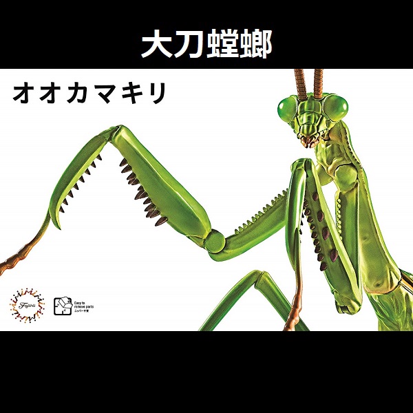 大刀螳螂 FUJIMI 自由研究23 生物編 富士美 組裝模型 FUJIMI,富士美,自由研究,生物,獨角仙,鍬形蟲,大刀螳螂 ,