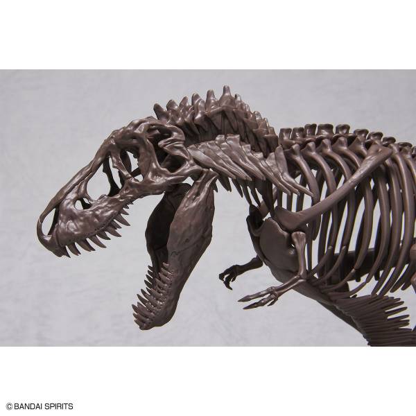 BANDAI 1/32 幻想骨骼系列 暴龍 恐龍骨骼 組裝模型 BANDAI,1/32,幻想骨骼系列,暴龍,組裝模型,恐龍骨骼
