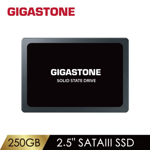 250GB SATA III 2.5吋高效固態硬碟(最高讀取速度500MB/s / 寫入速度420MB/s) 