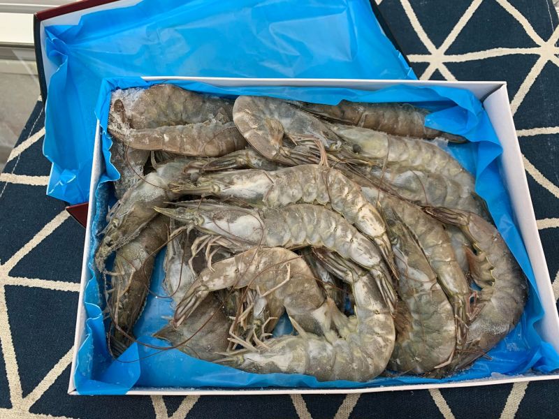 馬來.泰國白蝦 馬來西亞白蝦 進口白蝦 各式規格白蝦