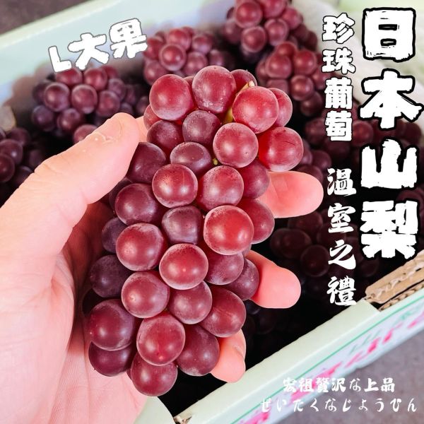 日本山梨-珍珠葡萄 - 宏祖水果