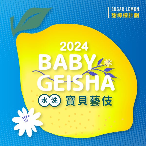 2024 水洗寶貝藝伎 | 水洗 | 吉瑪莉姆 | 果美村 | 甜檸檬計畫 咖啡生豆 衣索比亞 G1 寶貝藝伎 NATURAL 日曬 Baby Geisha 2022
