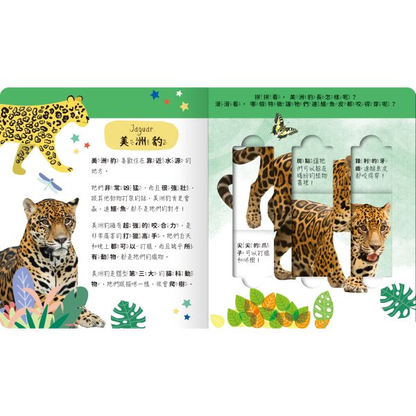 禾流文創 lovely puzzle-雨林動物園 