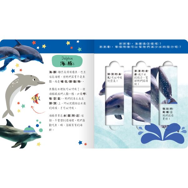 禾流文創 lovely puzzle-海洋動物園 