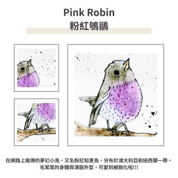 Pink Robin粉紅鴝鶲 | 陽光捕手 捉光擺飾,居家裝飾,窗戶掛飾,捕夢者,花藝裝飾,陽光捕手,鑲嵌玻璃,情人節禮物,北歐風,花店