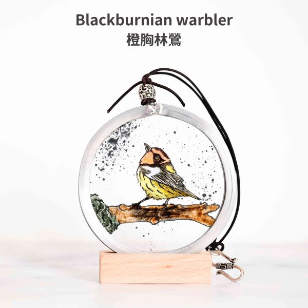 Blackburnian warbler橙胸林鶯 | 陽光捕手 捉光擺飾,居家裝飾,窗戶掛飾,捕夢者,花藝裝飾,陽光捕手,鑲嵌玻璃,情人節禮物,北歐風,花店