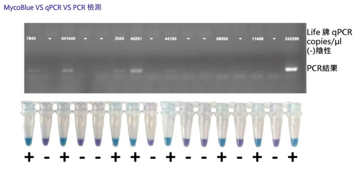Myco-Blue Mycoplasma Detector 黴漿菌快速檢試劑組 