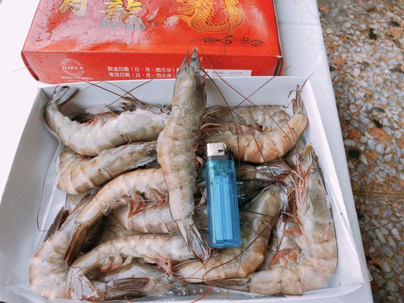 海大白蝦每盒約11-13隻 輕鬆買海鮮,買海鮮首選,海鮮宅配專家,網購海鮮,