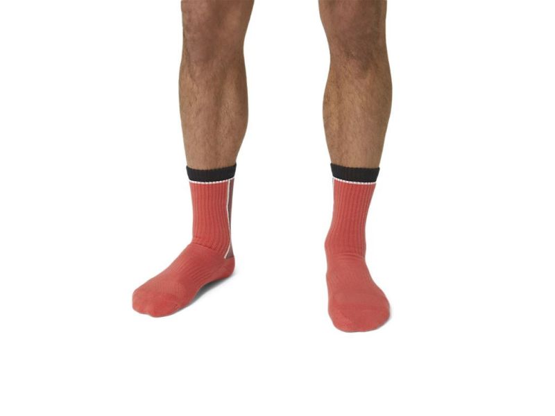 ASICS 亞瑟士 網球 中筒襪 紅色款 男女中性款 網球 配件 網球襪 網球襪
亞瑟士
ASICS
中筒襪
