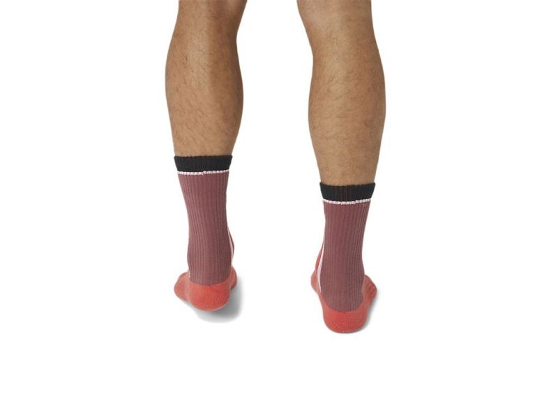 ASICS 亞瑟士 網球 中筒襪 紅色款 男女中性款 網球 配件 網球襪 網球襪
亞瑟士
ASICS
中筒襪