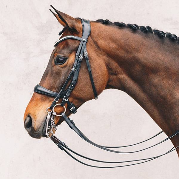 SCHOCKEMOHLE SPORTS 新型馬體工學韁繩 (雙韁/寬鼻革/鑲鑽額革/黑色/COB/FULL) 
