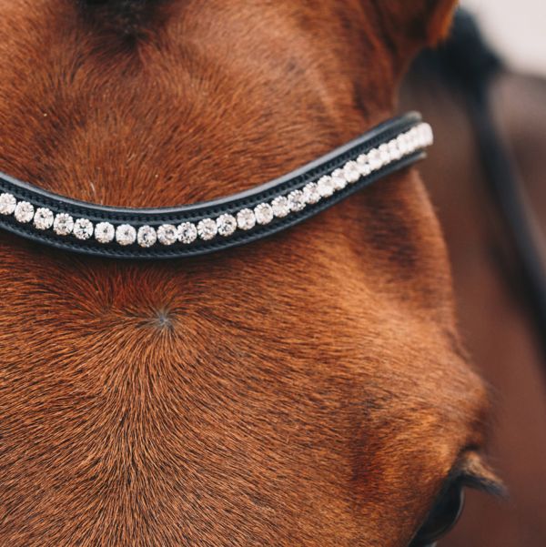 SCHOCKEMOHLE SPORTS 新型馬體工學韁繩 (不含手疆/寬鼻革/鑲鑽額革/黑色/FULL) 