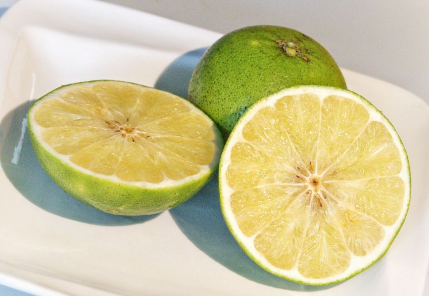 【得易楊楊】綠寶石有機蜜柚(6kg) 