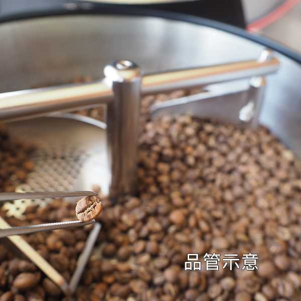 衣索比亞 耶加雪霏 薇姬妲 日曬 淺焙 115g 咖啡豆,Aillio,Bullet R1,夢啡名,natureve