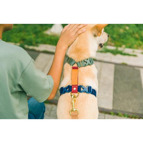 Vintage-3扣Ｈ型胸背帶（不含拉繩） 犬研室,寵物訓練,狗狗訓練,PPark,3扣H型胸背帶,胸背帶