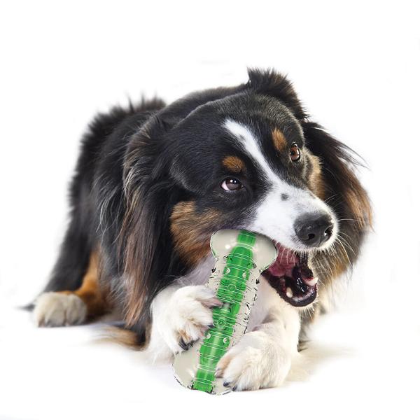 綠咖咖果凍骨 犬研室,寵物訓練,狗狗訓練,Petstages,舒壓玩具,啃咬玩具,綠咖咖果凍骨