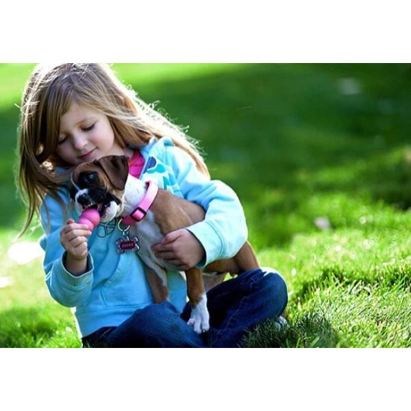 KONG幼犬訓練玩具 犬研室,寵物訓練,狗狗訓練,KONG,舒壓玩具,啃咬玩具,益智玩具,KONG葫蘆,KONG幼犬訓練玩具