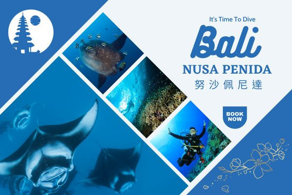 峇里島一日輕鬆潛 - 努沙佩尼達 seadiving, Bali, EasyDive, JFY, Scuba diving, fun dive, Snorkel, 潛水勝, 努沙佩尼達, Nusa, Penida, 藍夢島, Crystal Bay, Mola Mola, 翻車魚, 水晶灣