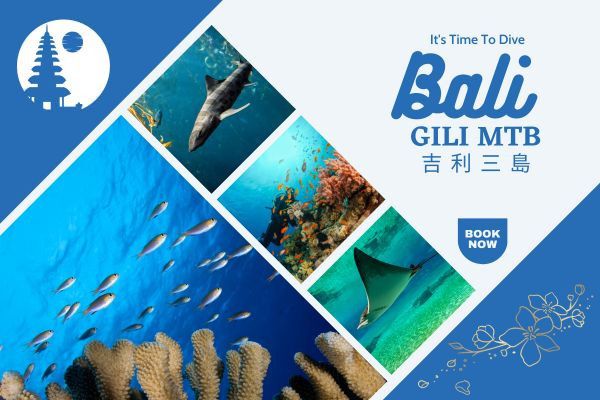 峇里島一日輕鬆潛 - Gili MTB seadiving, Bali, EasyDive, JFY, Scuba diving, fun dive, Snorkel, 潛水勝, Gill MTB, Mimpang,Tepekong, Biaha