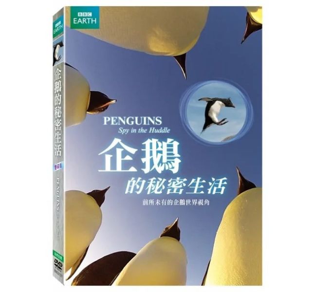 企鵝的秘密生活－DVD (2片／1套)-得利 