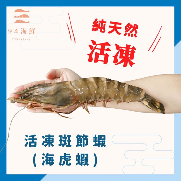 活凍斑節蝦 10P(800克/盒) 