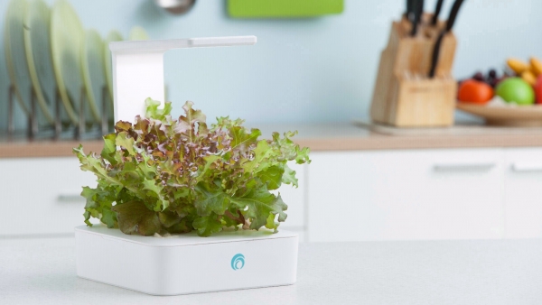 Green Box Dual- Purpose LED Plant Growth Box 小農夫,植物培育機,迷你植物燈,植物生長燈,Fresco,水土耕兩用,親子教育