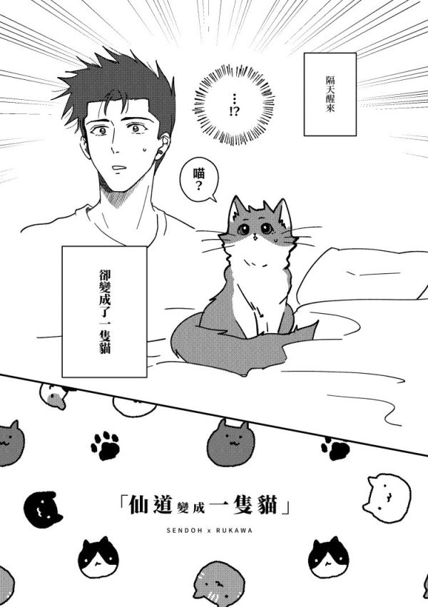《仙道變成一隻貓》　／SLAM DUNK　Senru　Comic　BY：流星（湘南晨光） 