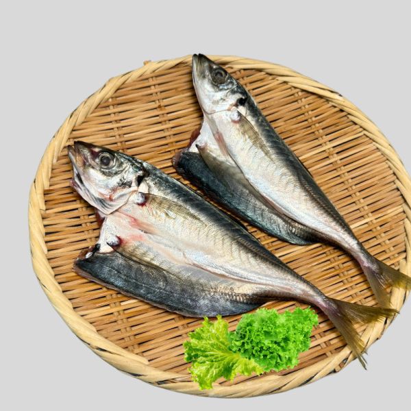 竹筴魚(300g) 竹筴魚