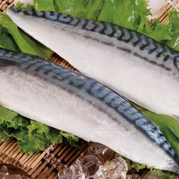 挪威鯖魚(2片、5片、1尾) 鯖魚,挪威鯖魚