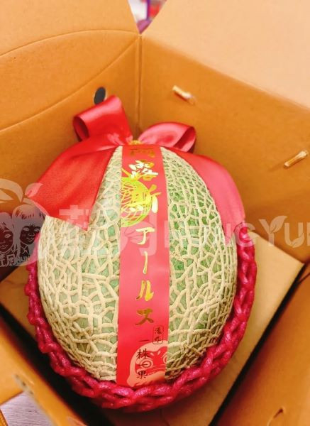 日本品種頂級阿露斯哈密瓜禮盒組 哈密瓜界的LV 阿露斯 