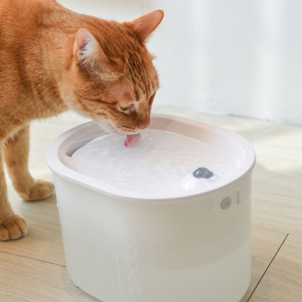 【主子愛喝水法寶】uah有哈3.0寵物無線智能飲水機