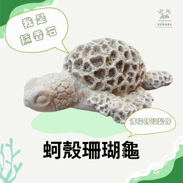 【CORAAL】蚵殼珊瑚龜 