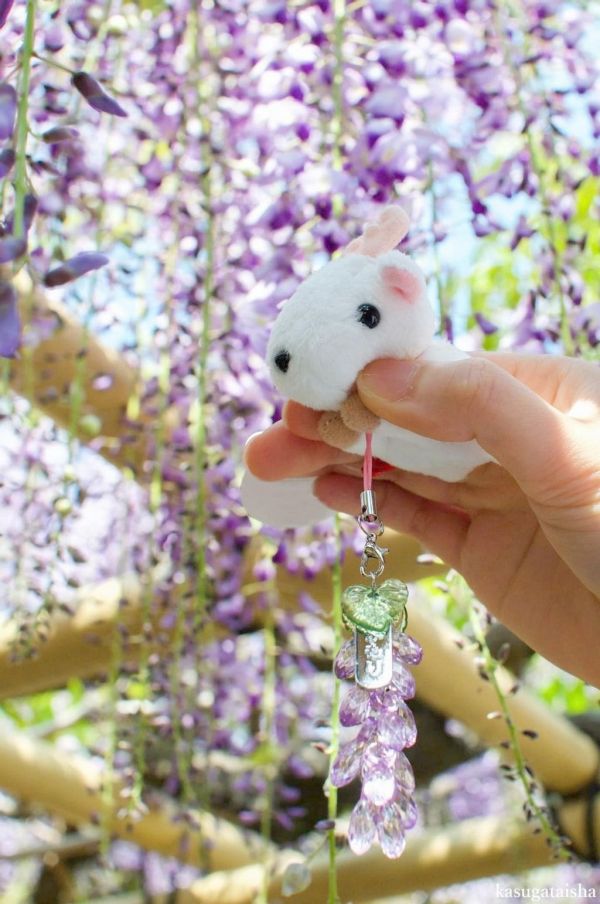 日本 春日大社 季節限定限量 藤花水晶守 / 白兔神社 白兔幸福守 祈求幸福與好運 