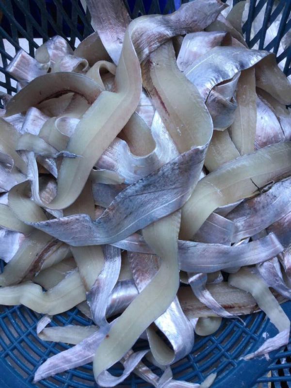 白帶魚清肉   每包1kg 