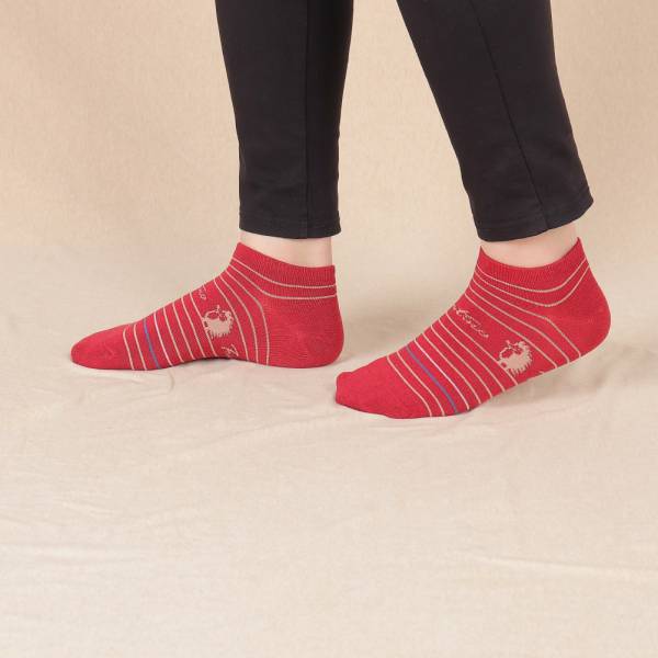 UMORFIL®膠原蛋白抗菌除臭襪(刺蝟線條)共5色 女襪,台灣設計,台灣製造,文青,短襪,文創設計,刺蝟,膠原蛋白,居家良品,襪子