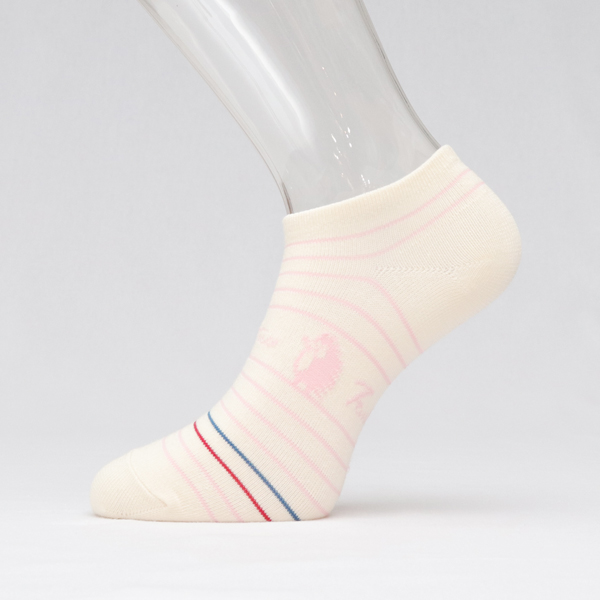 UMORFIL®膠原蛋白抗菌除臭襪(刺蝟線條)共5色 女襪,台灣設計,台灣製造,文青,短襪,文創設計,刺蝟,膠原蛋白,居家良品,襪子