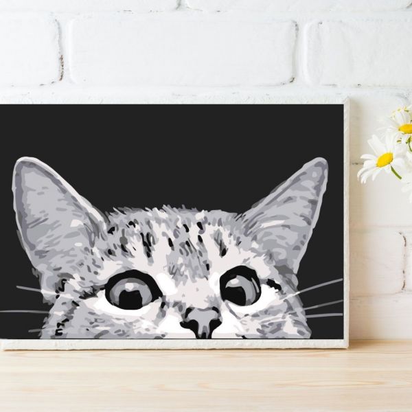 Hello!貓咪｜MANTO創意數字油畫(4050) 貓咪,風景畫,數字油畫,manto,數字畫