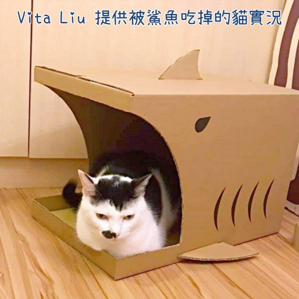 現貨【鯊魚紙箱】只要你買的東西裝得進去，就可以用鯊魚紙箱當外箱寄出，回收利用做成紙箱貓屋【MOMOCAT摸摸貓】VB11 紙箱,貓屋,貓紙箱,瓦楞紙箱,貓抓板,瓦楞貓抓板