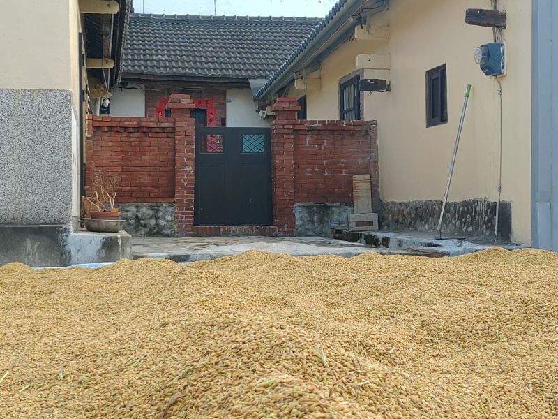 台灣青農產 糙米麩 