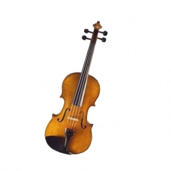 Abbott sn-200 小提琴 4/4 入門款推薦（附琴弓、松香、肩墊、琴盒）【sn200】 