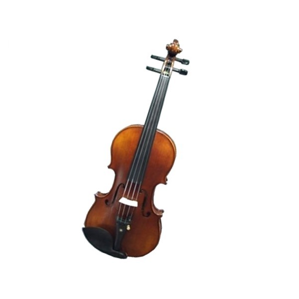 Abbott SN-300 小提琴 6種尺寸可選（附琴弓、松香、肩墊、琴盒）【SN300】台灣製 （附琴弓、松香、肩墊、琴盒）【SN300】