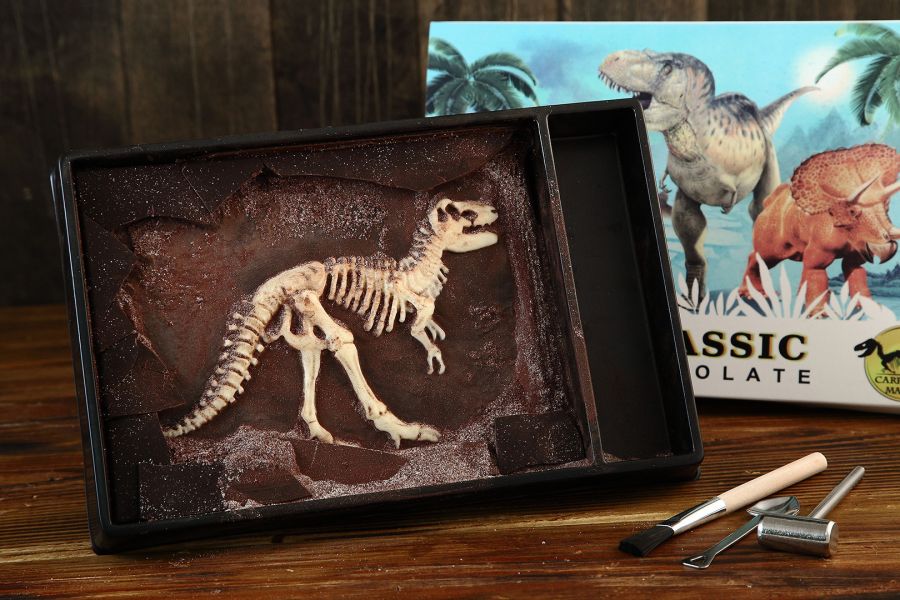 恐龍化石巧克力風味(大盒) 恐龍化石巧克力,伴手禮,小朋友,巧克力,禮物,交換禮物