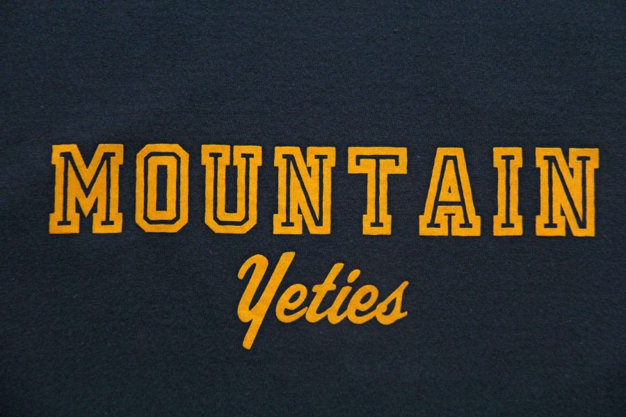 Barns Outfitters - Printed Tee/Mountain 