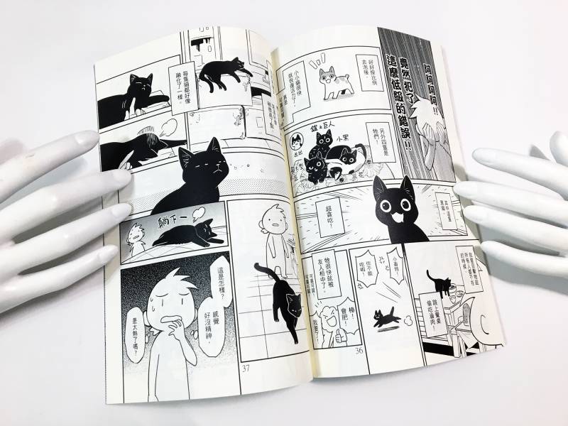 貓咪與牠們的產地 Vol.3 -頸椎骨折實驗記錄報告 頸椎,七月半,台灣漫畫,原創,貓,貓咪漫畫