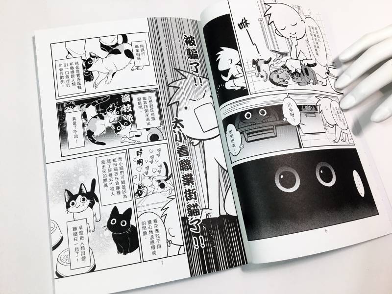 貓咪與牠們的產地 Vol.4 (完) -頸椎骨折實驗記錄報告 頸椎,七月半,台灣漫畫,原創,貓,貓咪漫畫